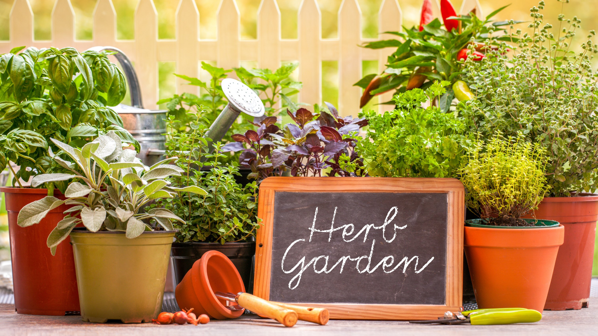 How To Keep Herb Gardens Alive